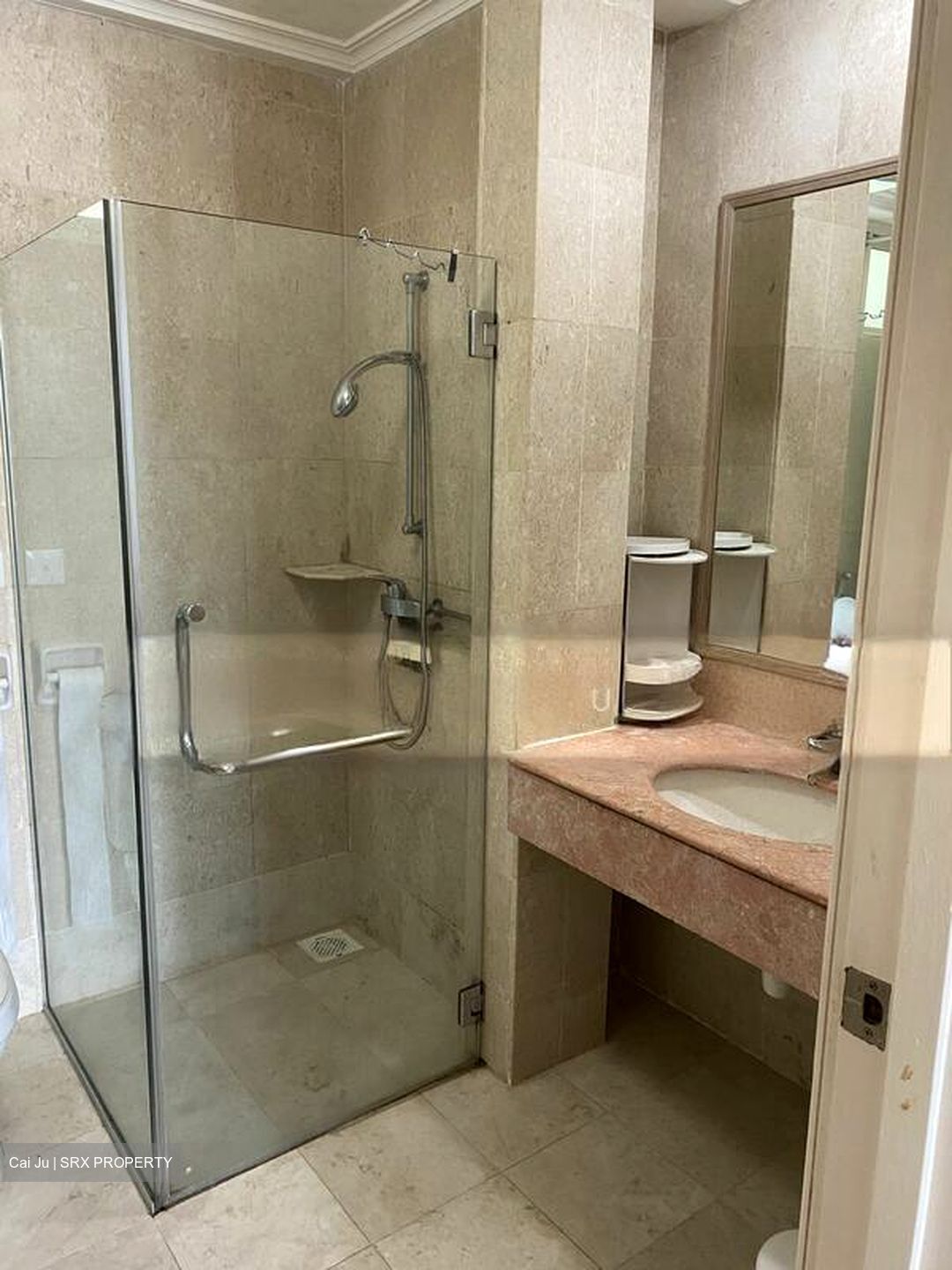 Oleander Towers (D12), Apartment #502204431